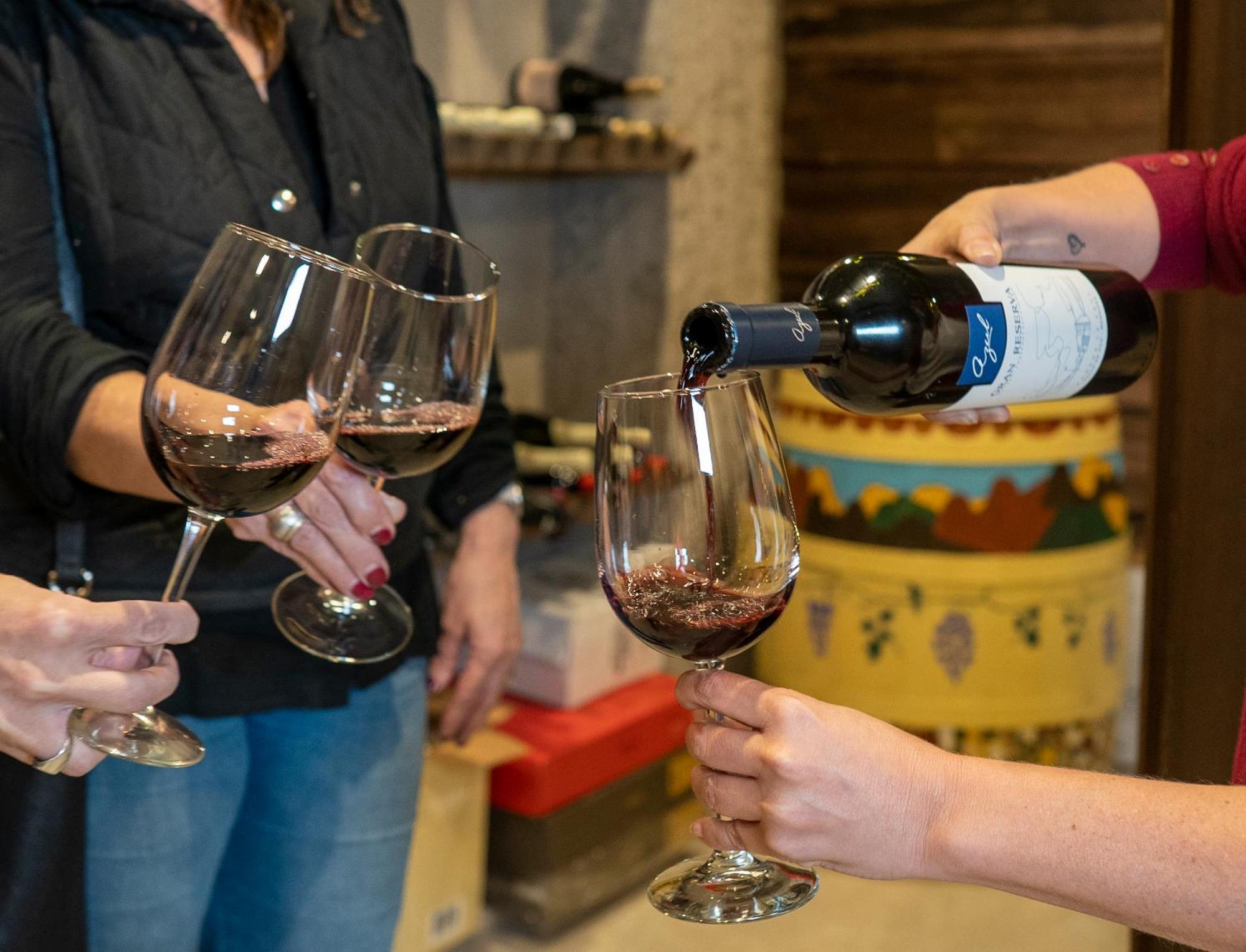 Ayres De Uco Lodge & Wine Lovers Лос-Арболес Экстерьер фото